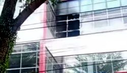 teraksata - UMB Palopo